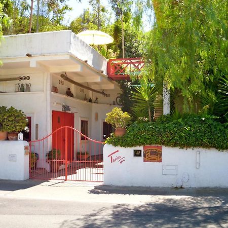 Casa Do Rio / Tavira Inn - Adults Only エクステリア 写真