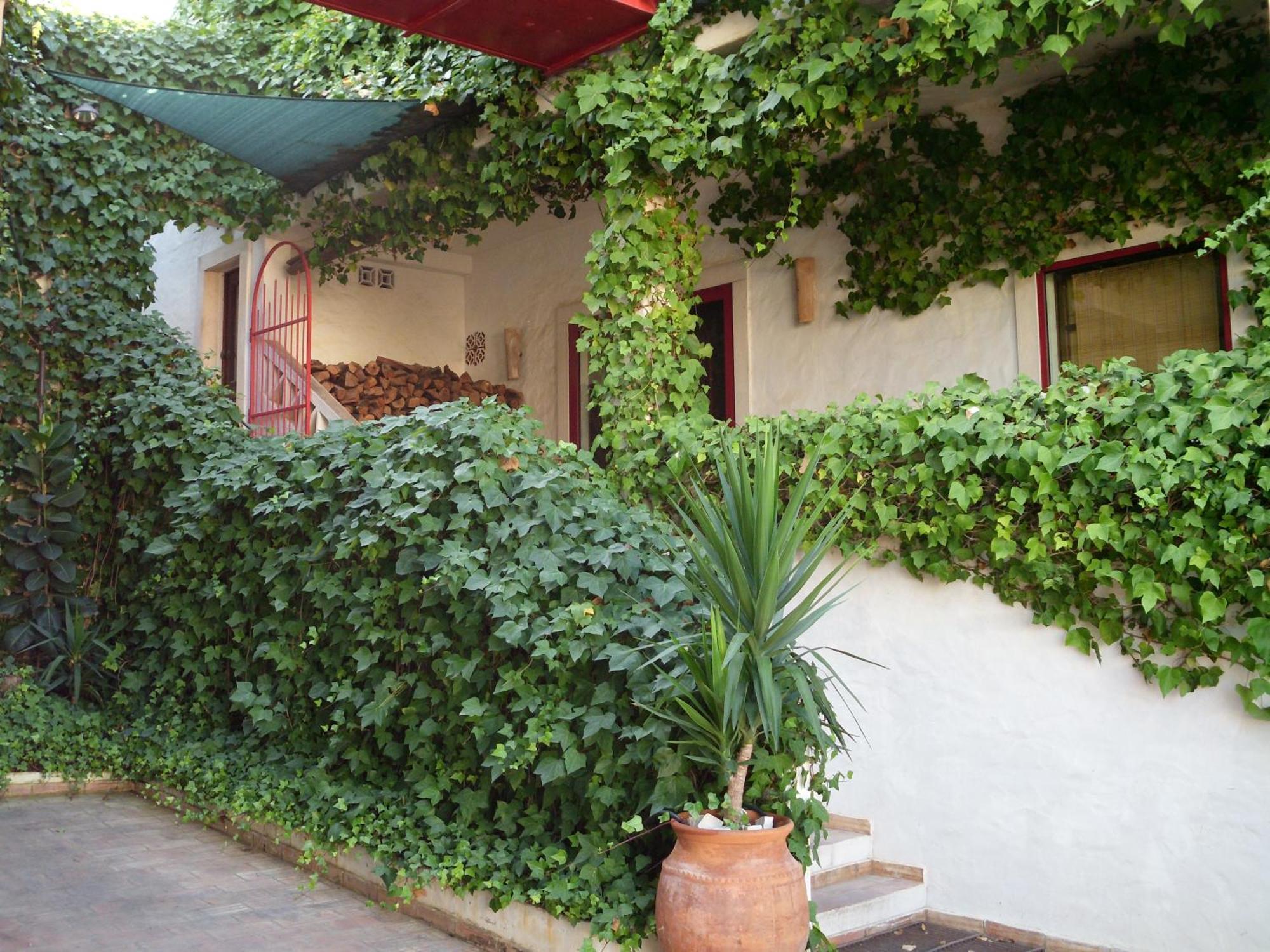 Casa Do Rio / Tavira Inn - Adults Only エクステリア 写真