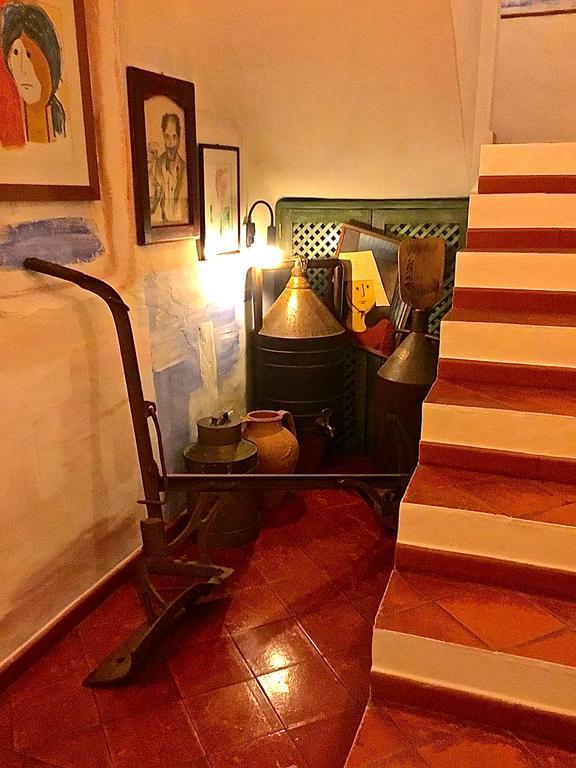 Casa Do Rio / Tavira Inn - Adults Only エクステリア 写真